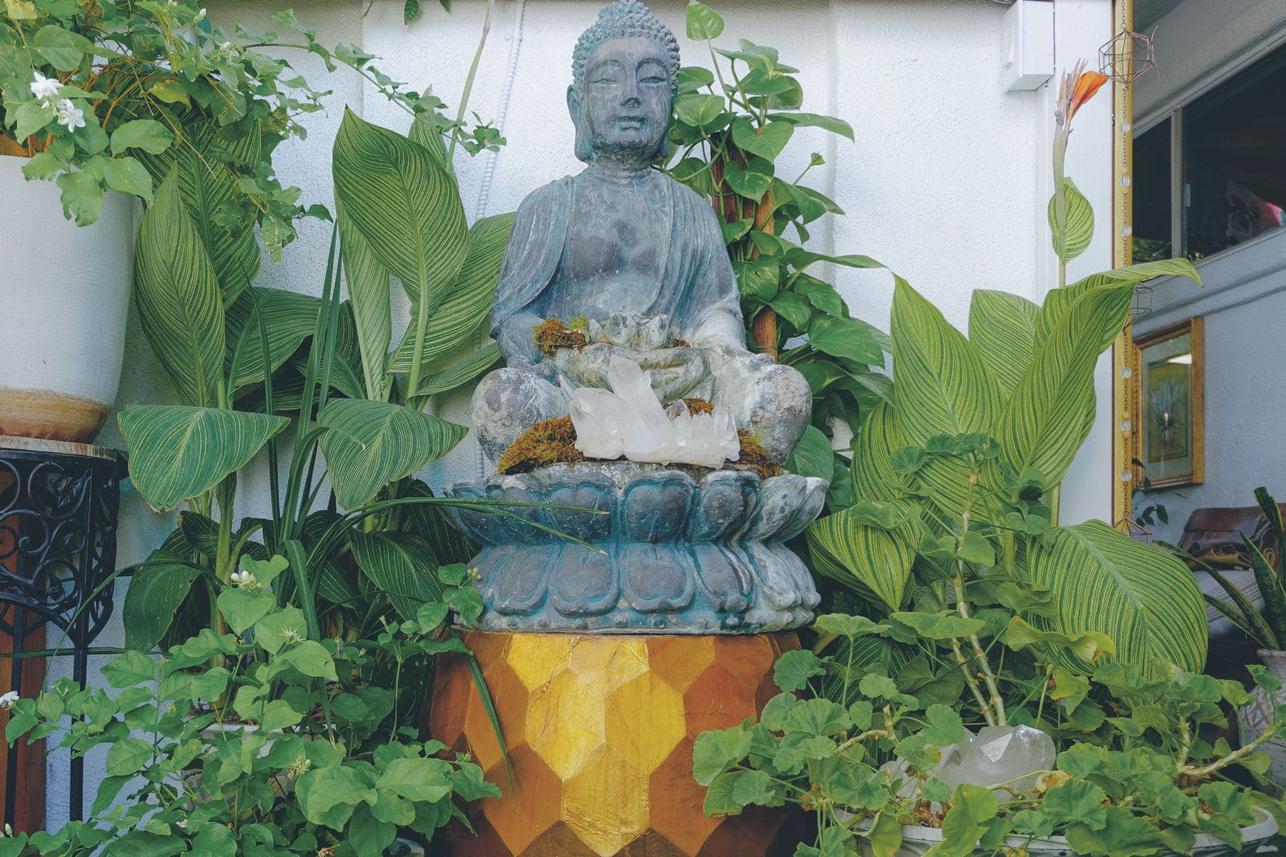 Buddha statue surrounded by green plants at The MataJi Sanctuary, symbolizing peace, meditation, and spiritual practice.