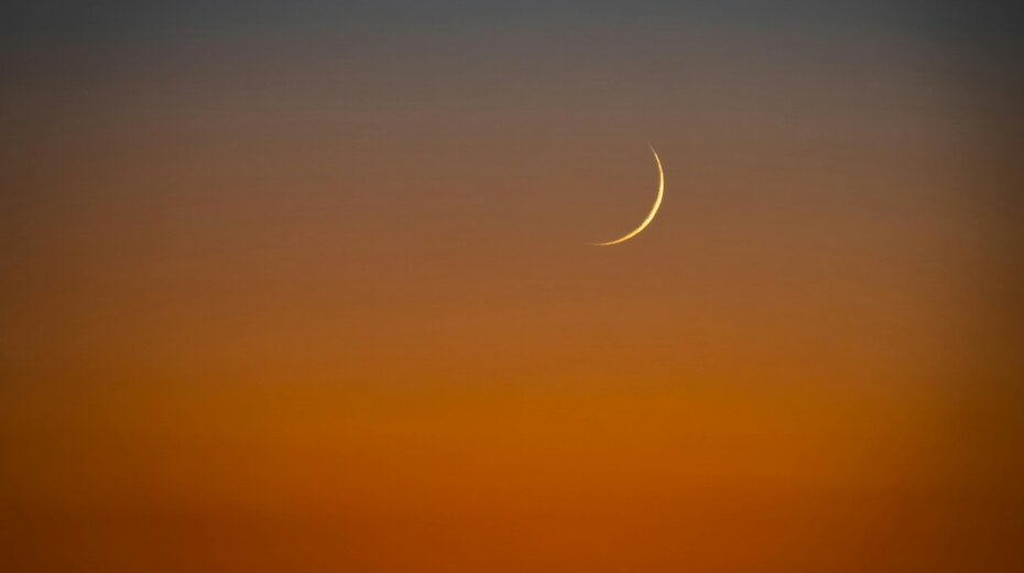 Women’s Circle: The Strawberry New Moon